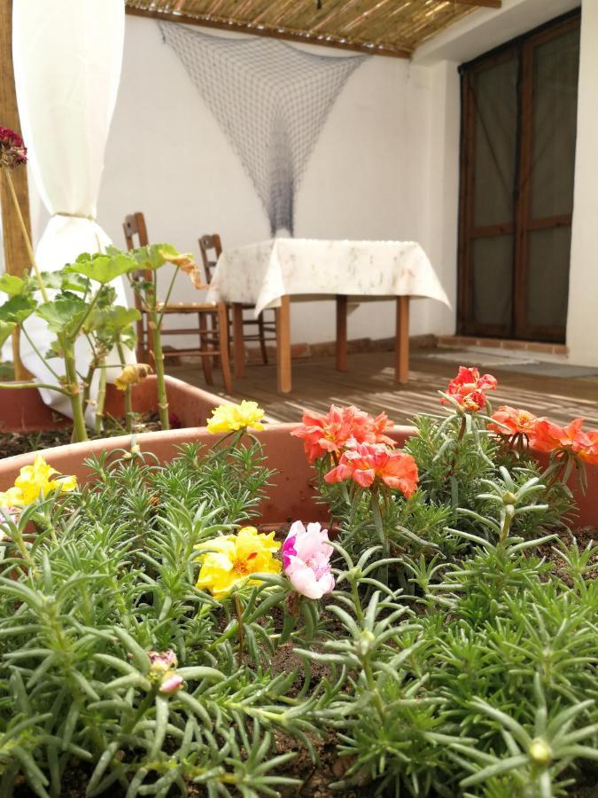 Casa Sartiglia Apartman Oristano Kültér fotó